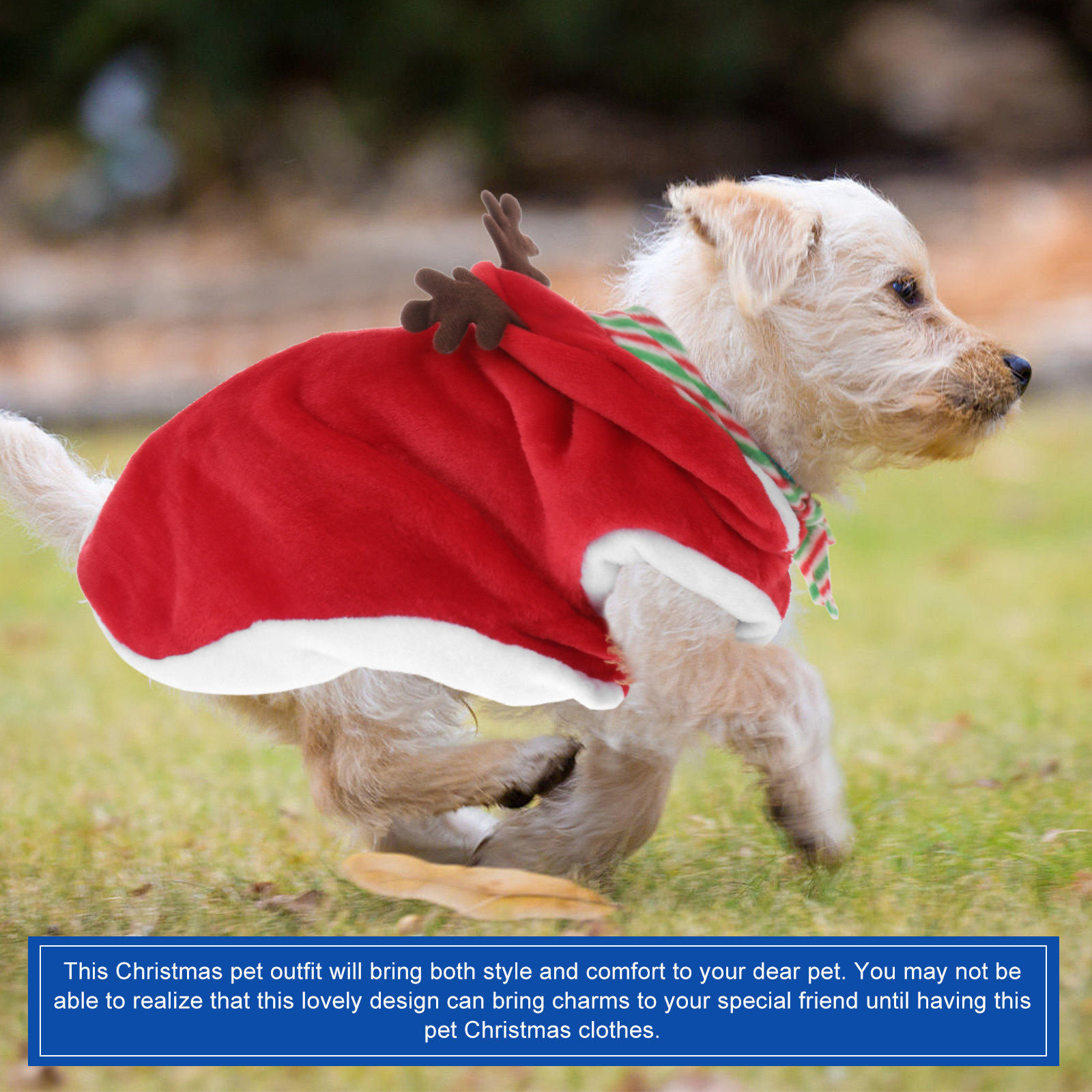 1Set Pet Christmas Clothes Fes - Winter Clothing Activity recension och pris