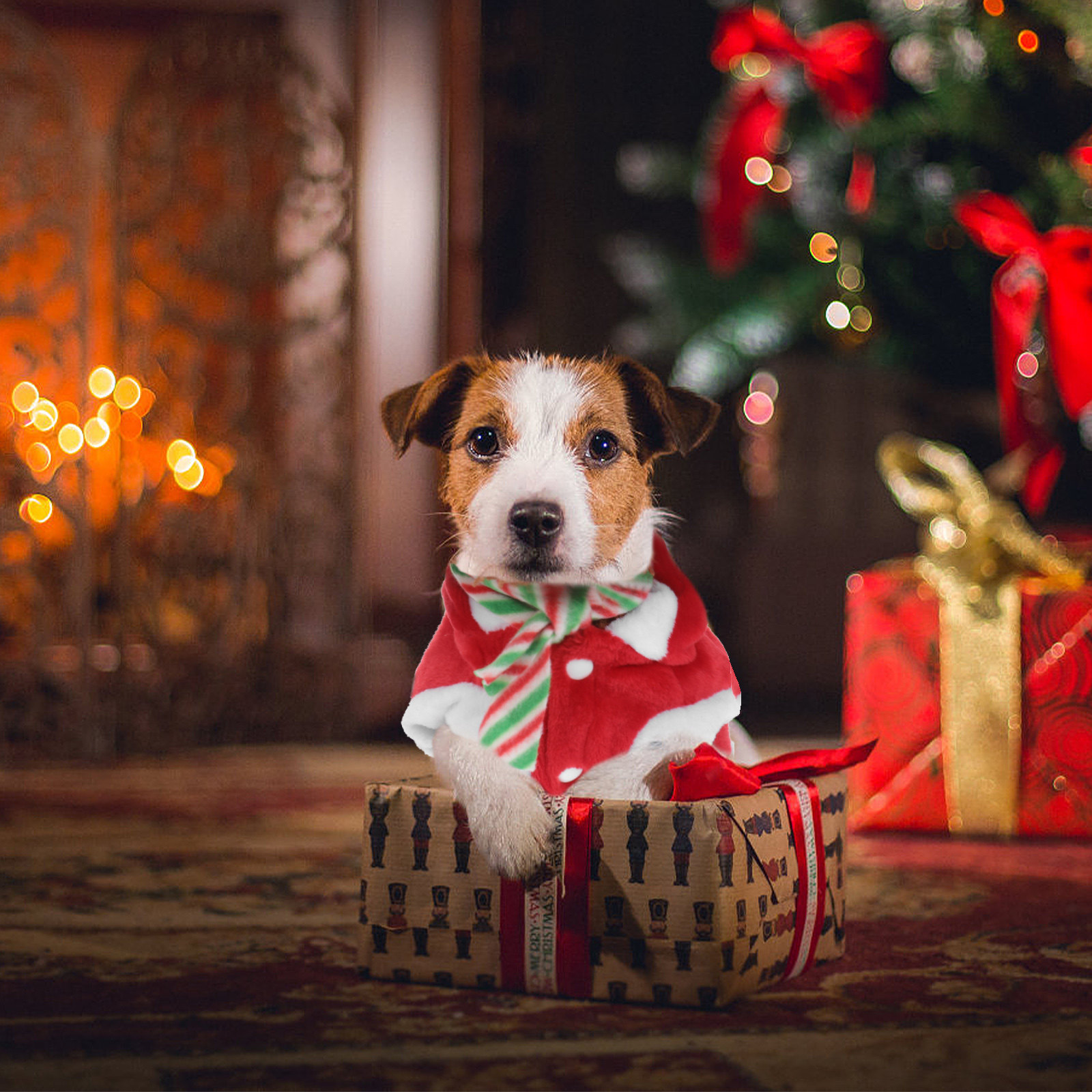 1Set Pet Christmas Clothes Fes - Winter Clothing Activity recension och pris